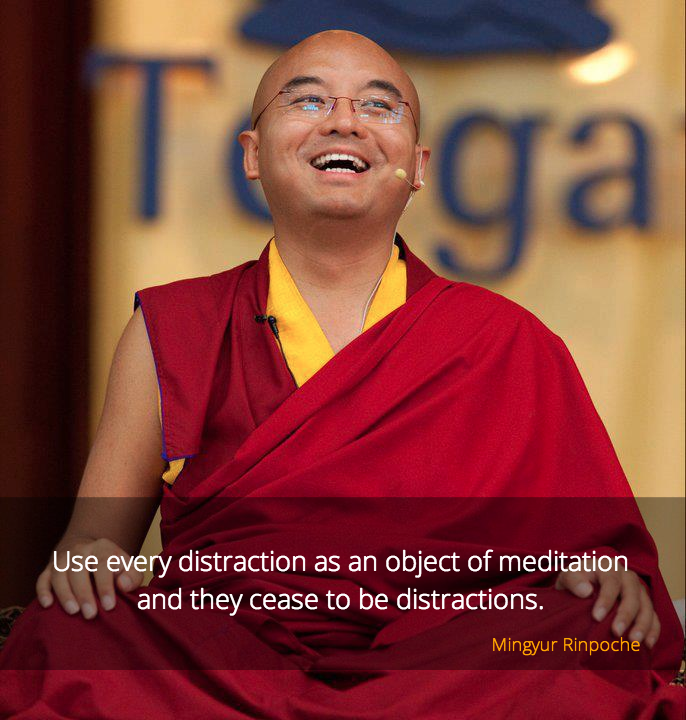 Distraction ~ Mingyur Rinpoche - Just Dharma