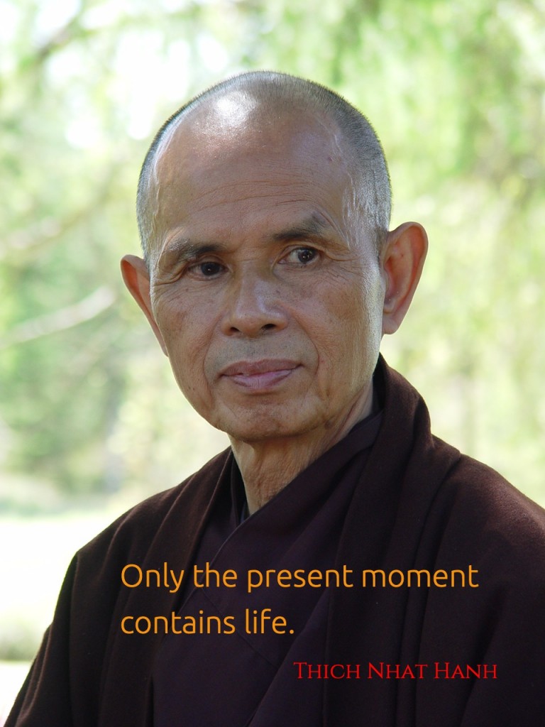 Life ~ Thich Nhat Hanh - Just Dharma